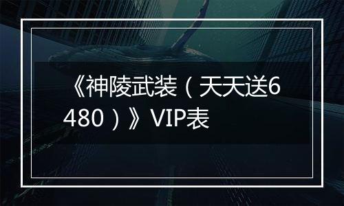 《神陵武装（天天送6480）》VIP表