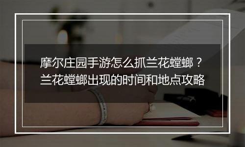摩尔庄园手游怎么抓兰花螳螂？兰花螳螂出现的时间和地点攻略