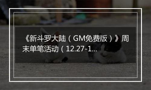 《新斗罗大陆（GM免费版）》周末单笔活动（12.27-12.28）
