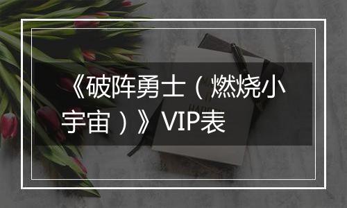 《破阵勇士（燃烧小宇宙）》VIP表