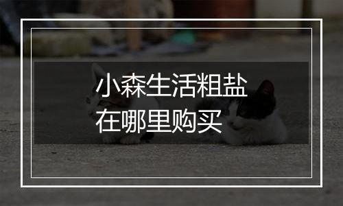 小森生活粗盐在哪里购买