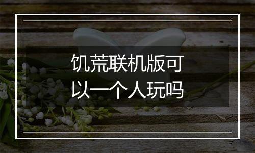 饥荒联机版可以一个人玩吗