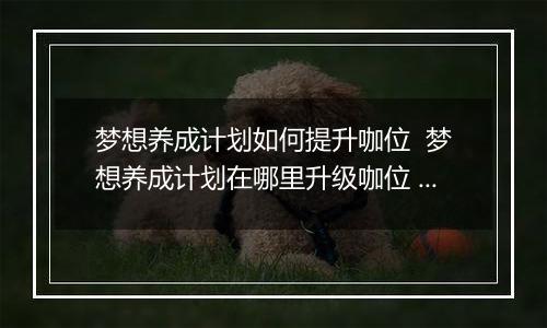 梦想养成计划如何提升咖位  梦想养成计划在哪里升级咖位 梦想养成计划升咖位方法介绍