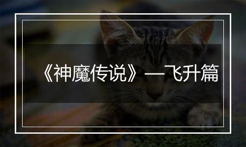 《神魔传说》—飞升篇