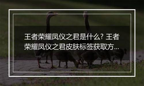 王者荣耀凤仪之君是什么? 王者荣耀凤仪之君皮肤标签获取方法