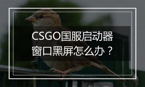 CSGO国服启动器窗口黑屏怎么办？
