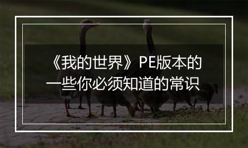 《我的世界》PE版本的一些你必须知道的常识