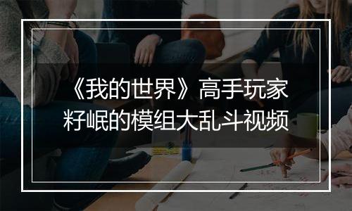 《我的世界》高手玩家籽岷的模组大乱斗视频