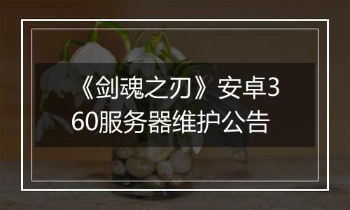 《剑魂之刃》安卓360服务器维护公告