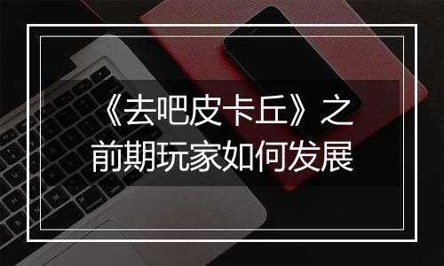 《去吧皮卡丘》之前期玩家如何发展