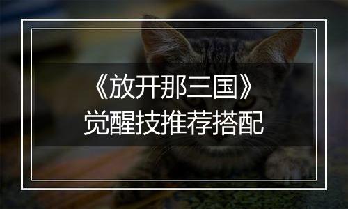 《放开那三国》觉醒技推荐搭配