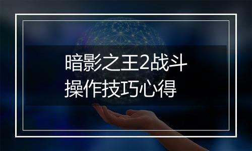 暗影之王2战斗操作技巧心得