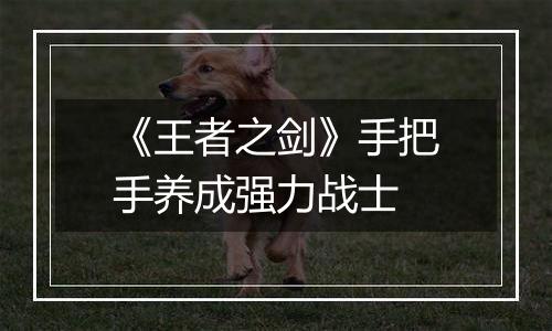 《王者之剑》手把手养成强力战士