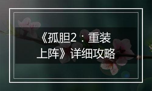 《孤胆2：重装上阵》详细攻略