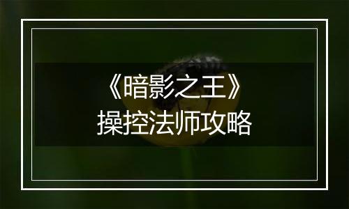 《暗影之王》操控法师攻略