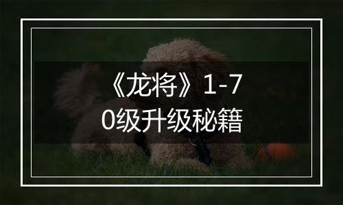 《龙将》1-70级升级秘籍