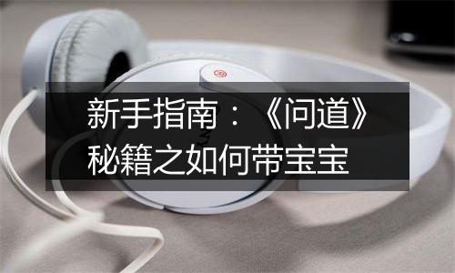 新手指南：《问道》秘籍之如何带宝宝