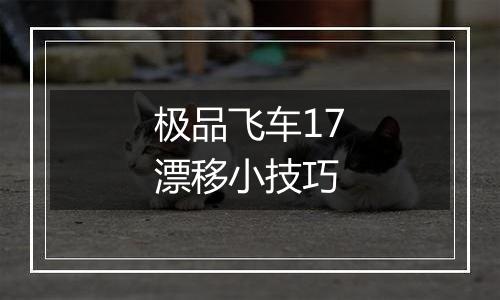 极品飞车17漂移小技巧