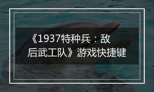 《1937特种兵：敌后武工队》游戏快捷键