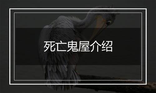 死亡鬼屋介绍