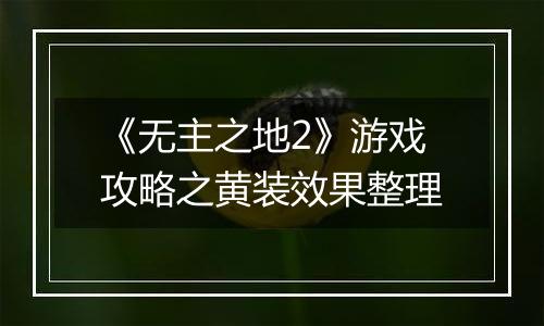 《无主之地2》游戏攻略之黄装效果整理