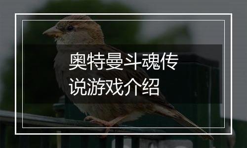 奥特曼斗魂传说游戏介绍