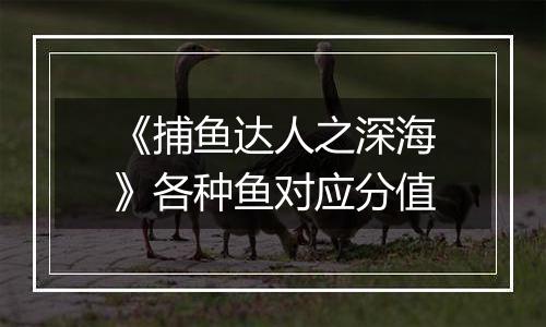 《捕鱼达人之深海》各种鱼对应分值