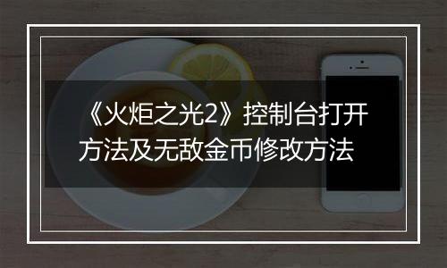 《火炬之光2》控制台打开方法及无敌金币修改方法