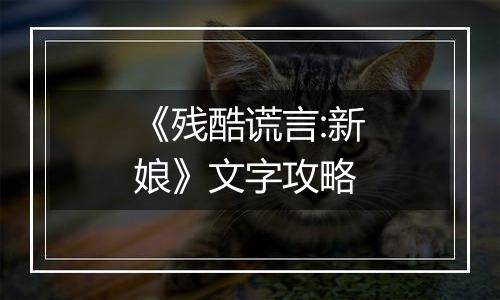 《残酷谎言:新娘》文字攻略