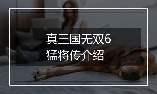 真三国无双6猛将传介绍