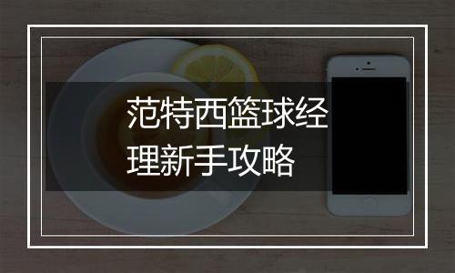 范特西篮球经理新手攻略