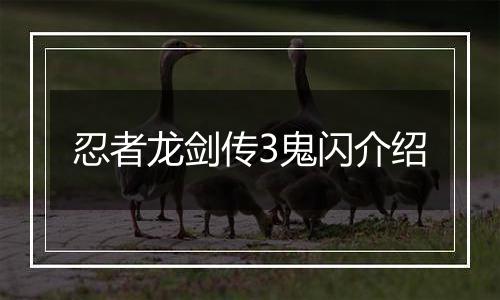 忍者龙剑传3鬼闪介绍