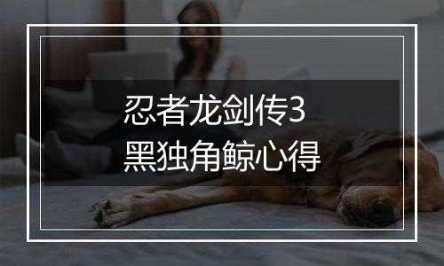 忍者龙剑传3黑独角鲸心得