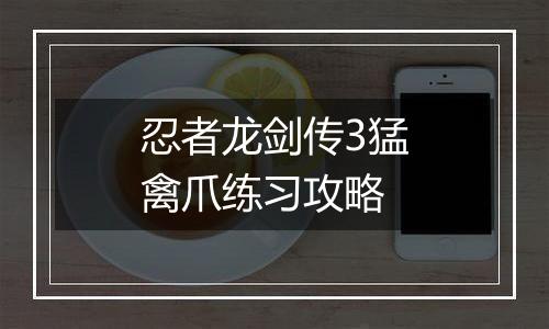 忍者龙剑传3猛禽爪练习攻略