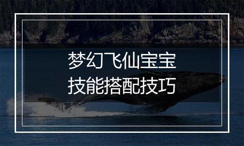 梦幻飞仙宝宝技能搭配技巧