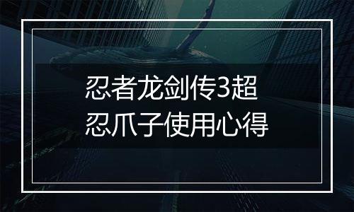 忍者龙剑传3超忍爪子使用心得