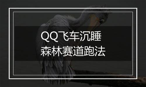 QQ飞车沉睡森林赛道跑法