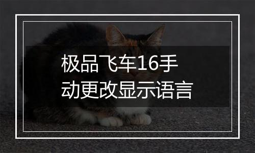 极品飞车16手动更改显示语言