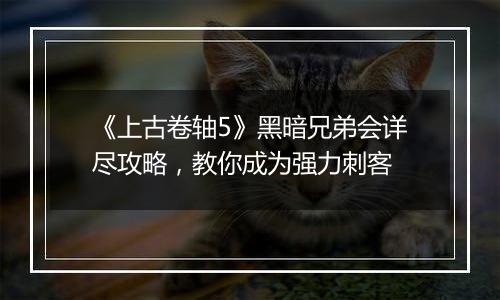 《上古卷轴5》黑暗兄弟会详尽攻略，教你成为强力刺客