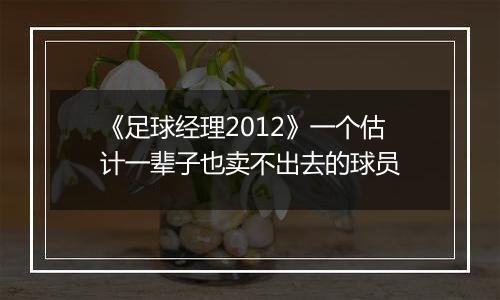 《足球经理2012》一个估计一辈子也卖不出去的球员
