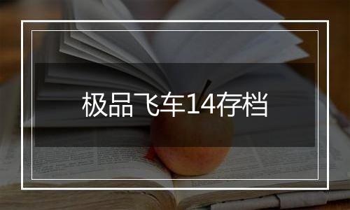 极品飞车14存档