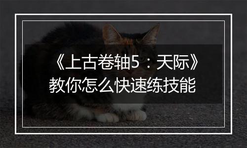 《上古卷轴5：天际》教你怎么快速练技能