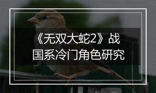 《无双大蛇2》战国系冷门角色研究