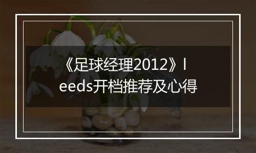 《足球经理2012》leeds开档推荐及心得