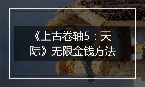 《上古卷轴5：天际》无限金钱方法