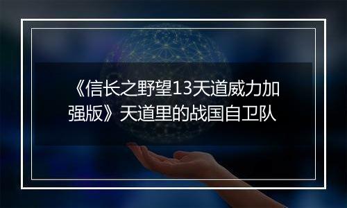 《信长之野望13天道威力加强版》天道里的战国自卫队