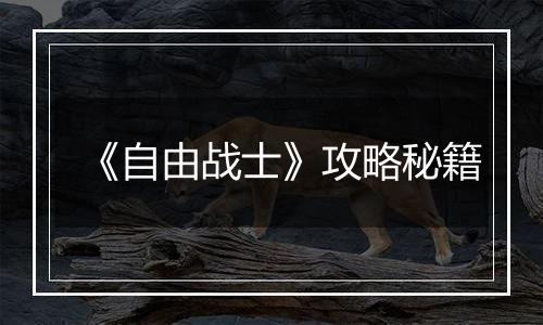 《自由战士》攻略秘籍
