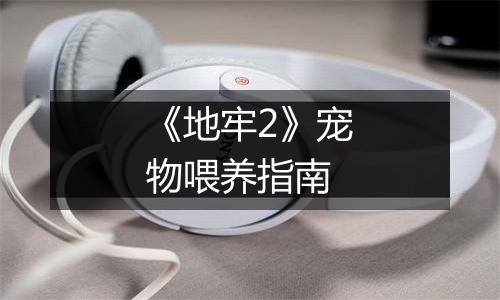 《地牢2》宠物喂养指南