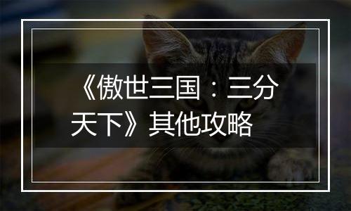 《傲世三国：三分天下》其他攻略