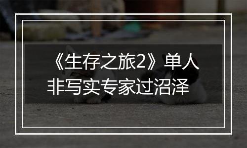 《生存之旅2》单人非写实专家过沼泽